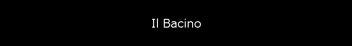 Il Bacino